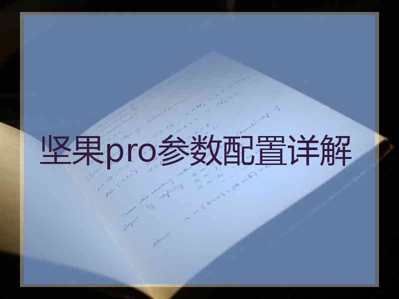 坚果pro参数配置详解