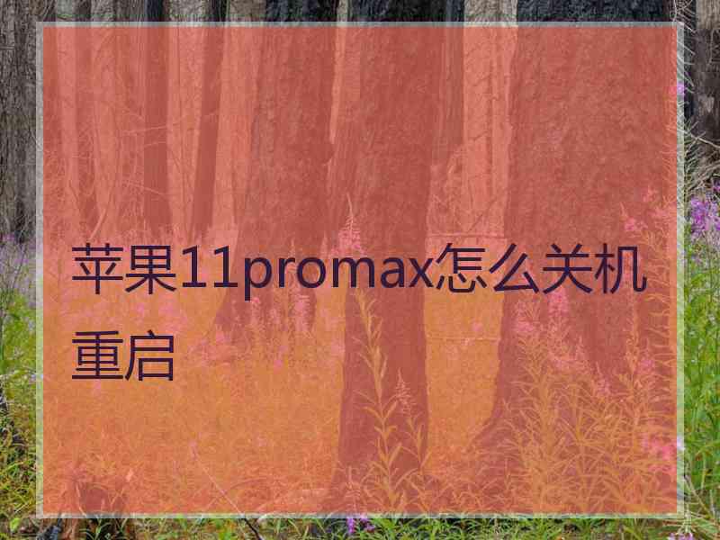 苹果11promax怎么关机重启