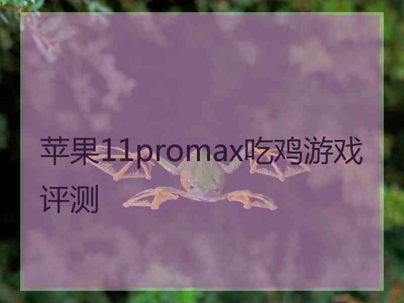 苹果11promax吃鸡游戏评测