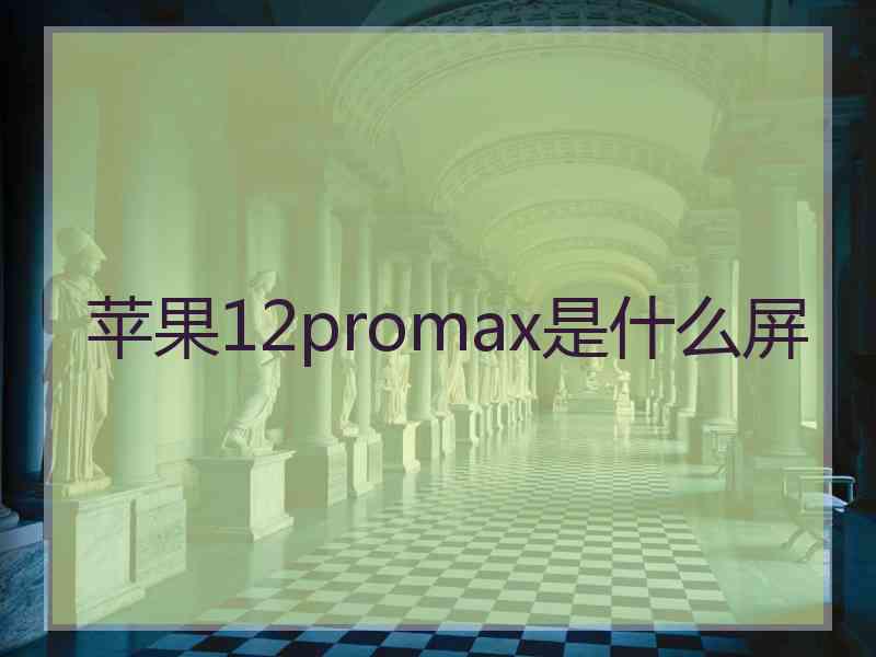 苹果12promax是什么屏