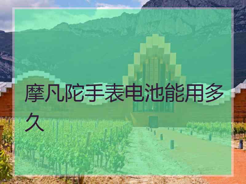 摩凡陀手表电池能用多久