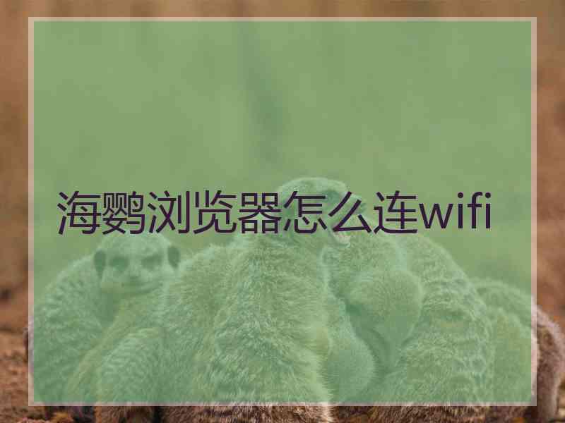 海鹦浏览器怎么连wifi