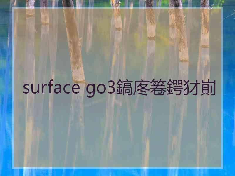 surface go3鎬庝箞鍔犲崱