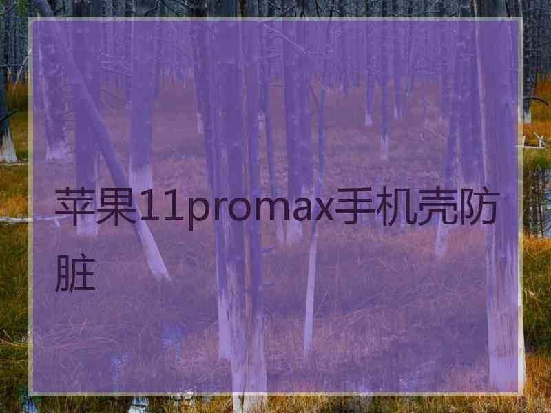 苹果11promax手机壳防脏