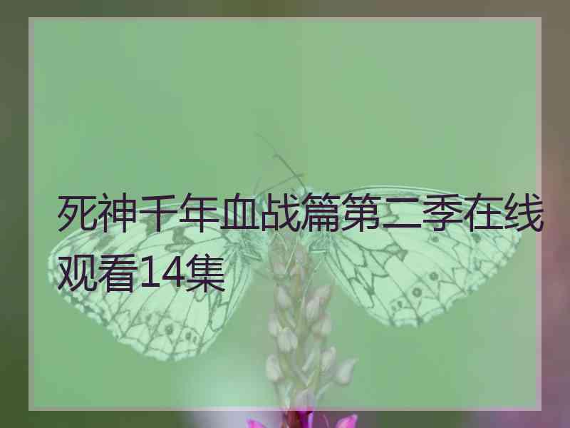 死神千年血战篇第二季在线观看14集