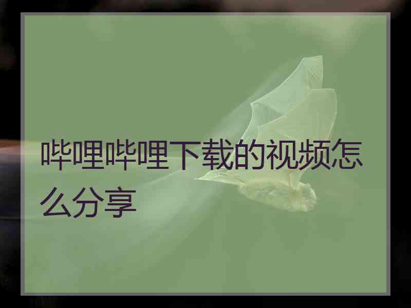 哔哩哔哩下载的视频怎么分享