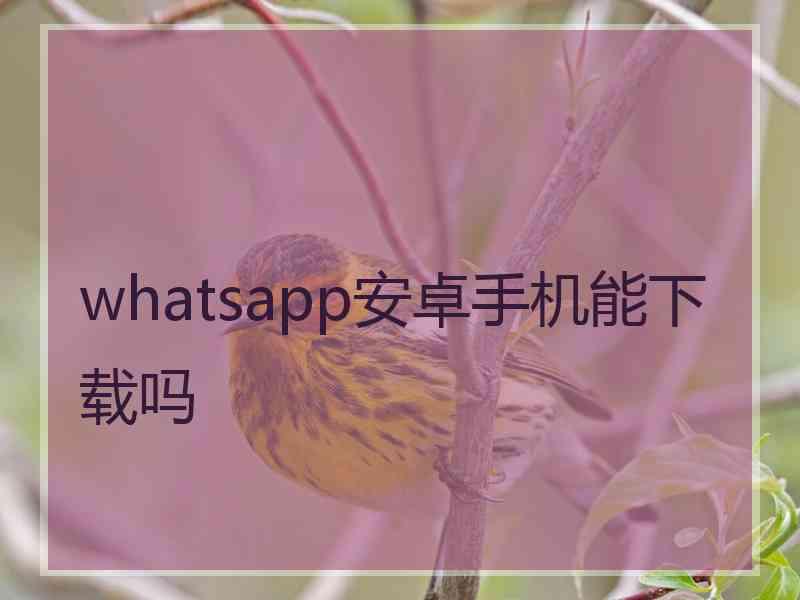 whatsapp安卓手机能下载吗