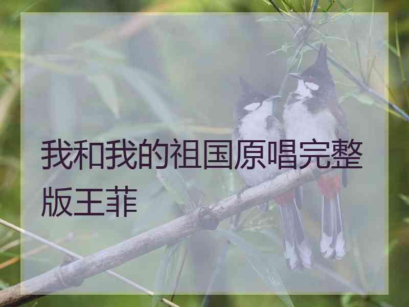 我和我的祖国原唱完整版王菲