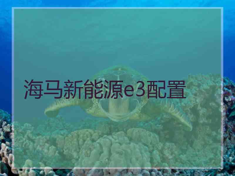 海马新能源e3配置