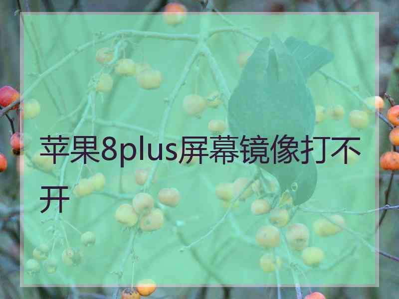 苹果8plus屏幕镜像打不开