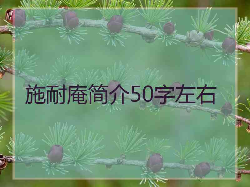 施耐庵简介50字左右