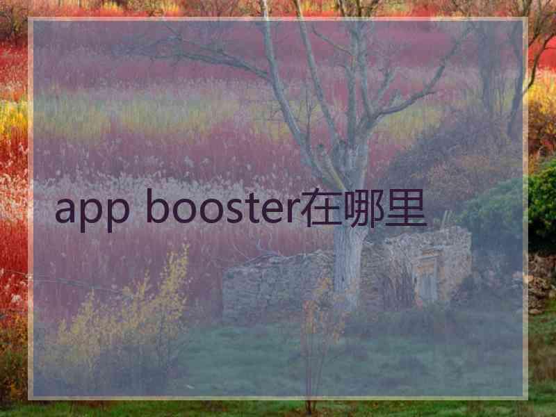 app booster在哪里