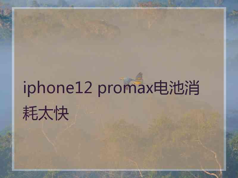 iphone12 promax电池消耗太快