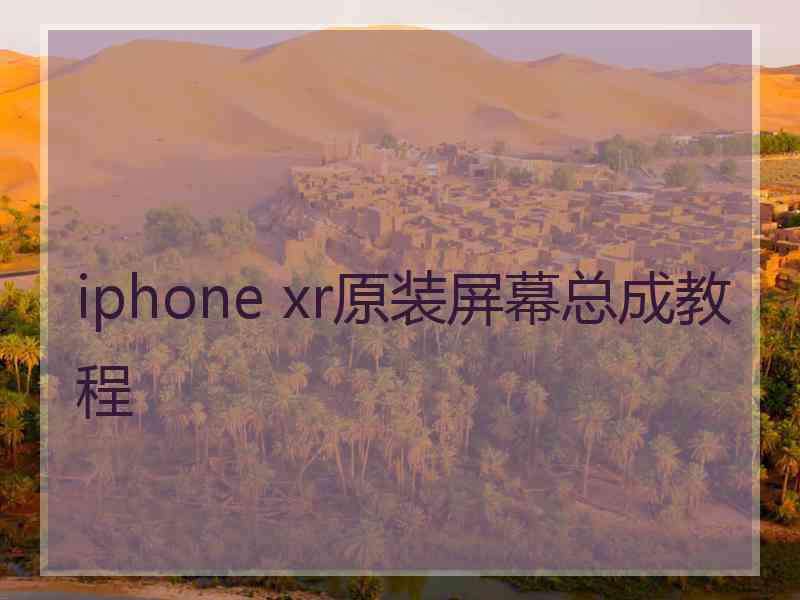 iphone xr原装屏幕总成教程