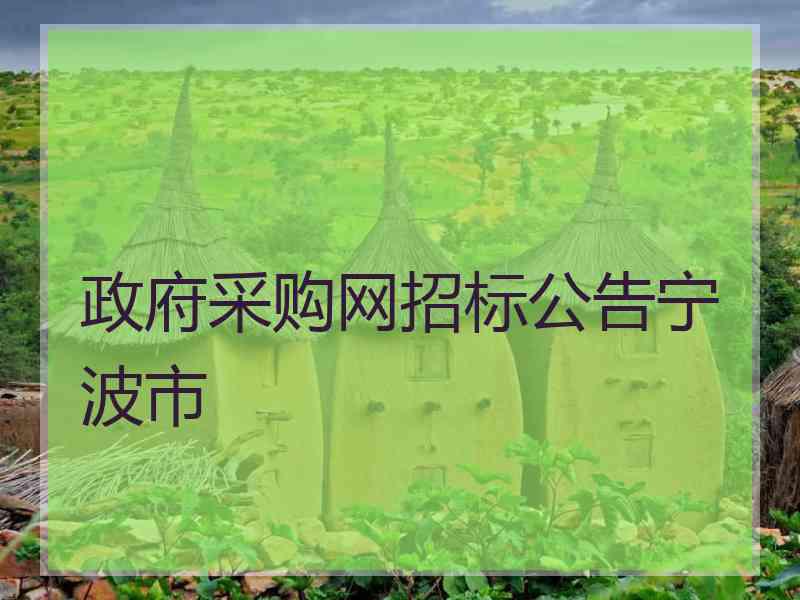 政府采购网招标公告宁波市