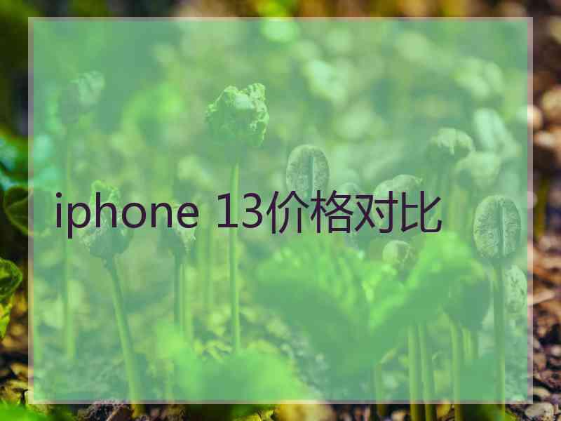 iphone 13价格对比