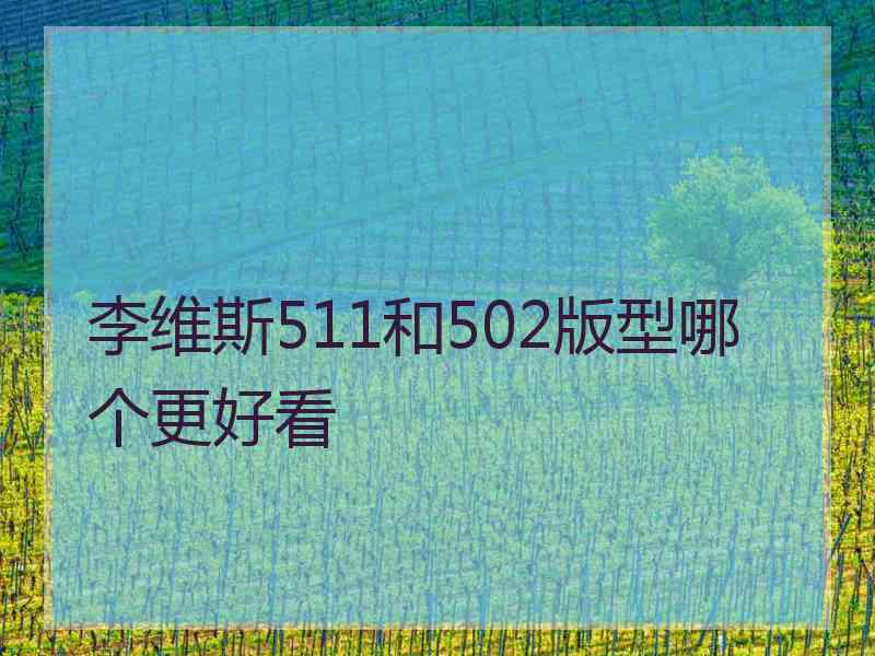 李维斯511和502版型哪个更好看