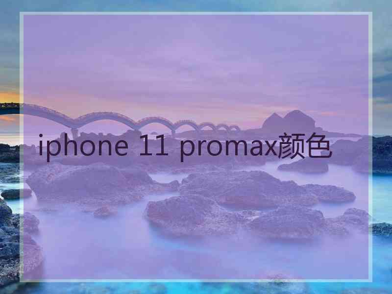 iphone 11 promax颜色