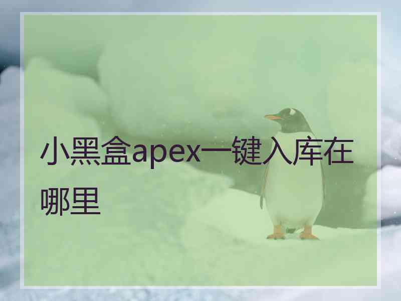 小黑盒apex一键入库在哪里