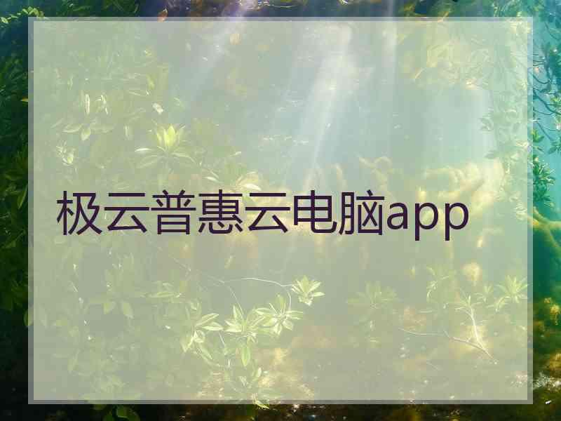 极云普惠云电脑app