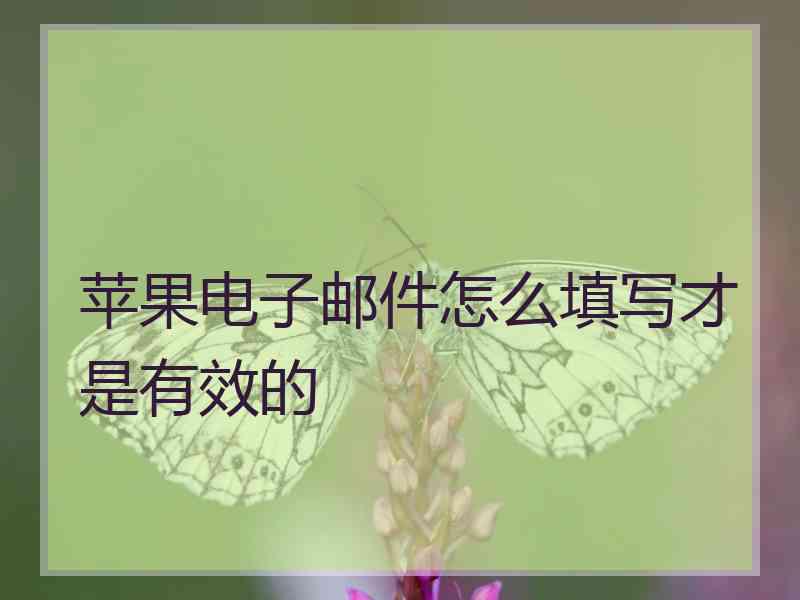 苹果电子邮件怎么填写才是有效的