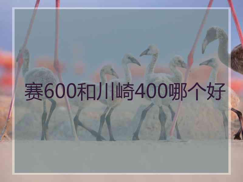 赛600和川崎400哪个好