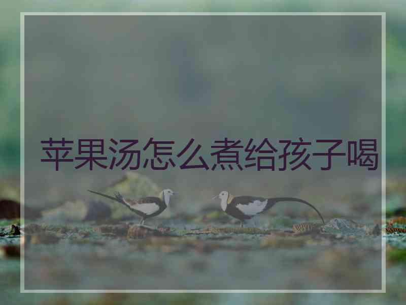 苹果汤怎么煮给孩子喝