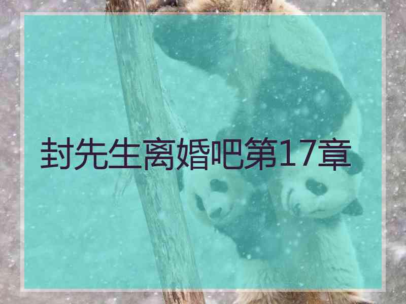 封先生离婚吧第17章