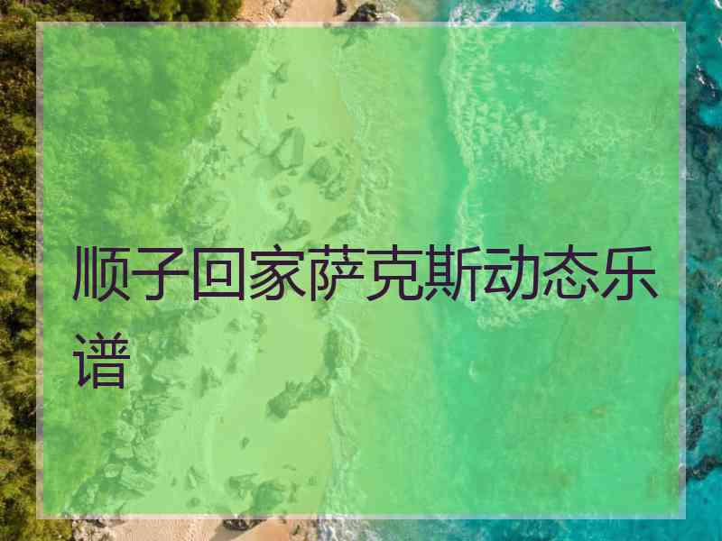 顺子回家萨克斯动态乐谱