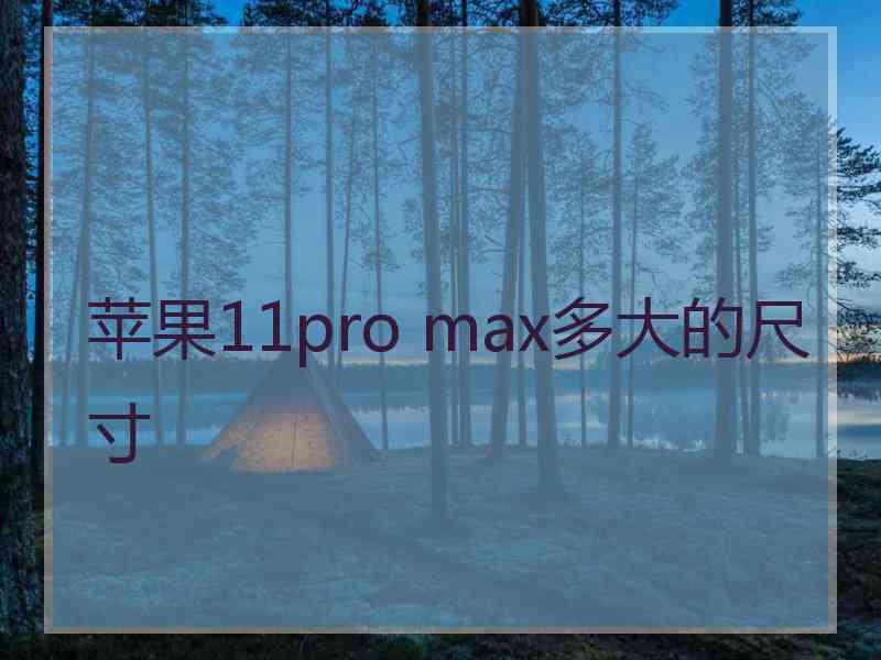 苹果11pro max多大的尺寸