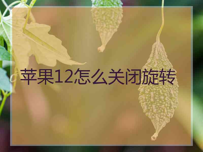 苹果12怎么关闭旋转