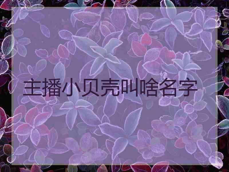 主播小贝壳叫啥名字