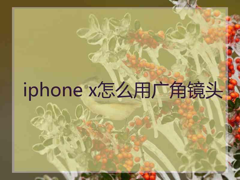 iphone x怎么用广角镜头