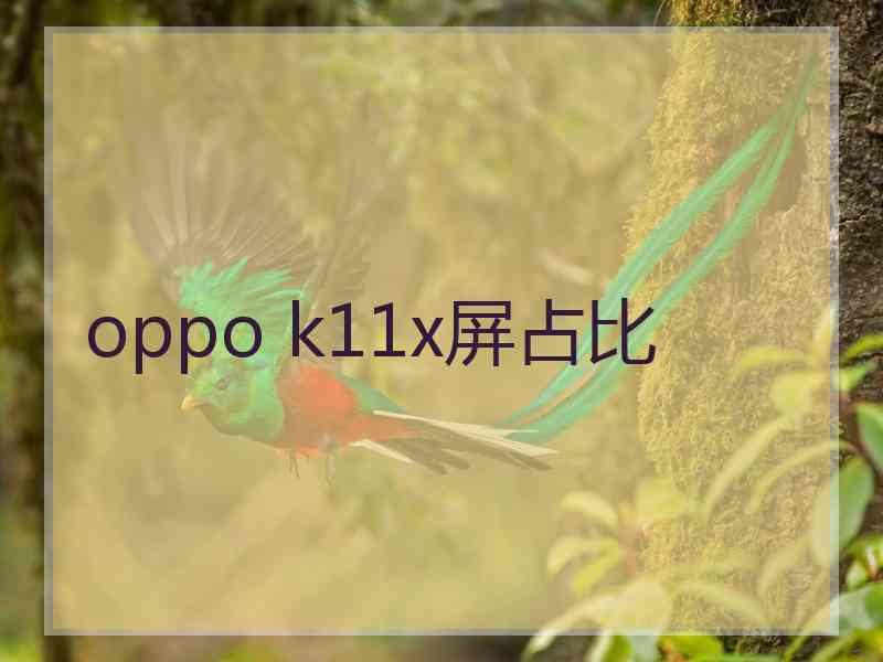 oppo k11x屏占比