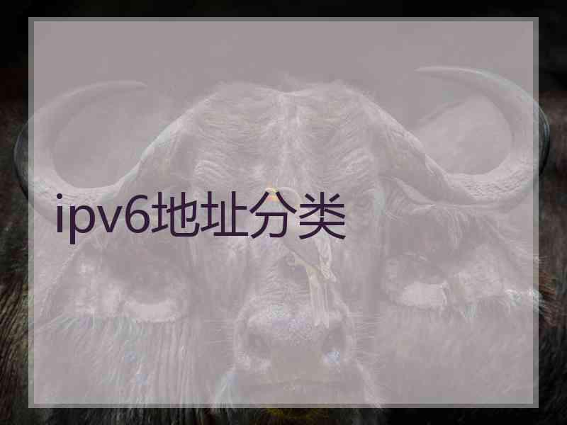 ipv6地址分类