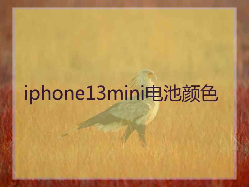 iphone13mini电池颜色