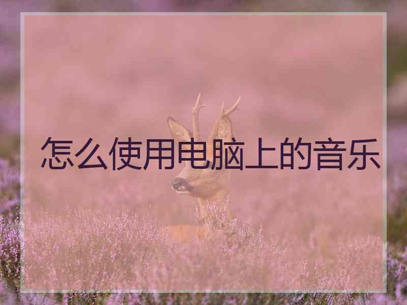 怎么使用电脑上的音乐