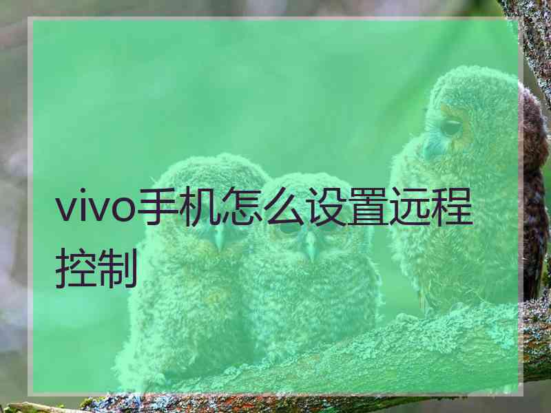 vivo手机怎么设置远程控制