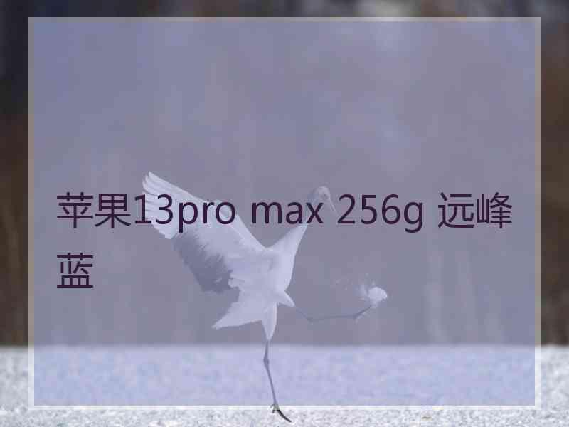 苹果13pro max 256g 远峰蓝