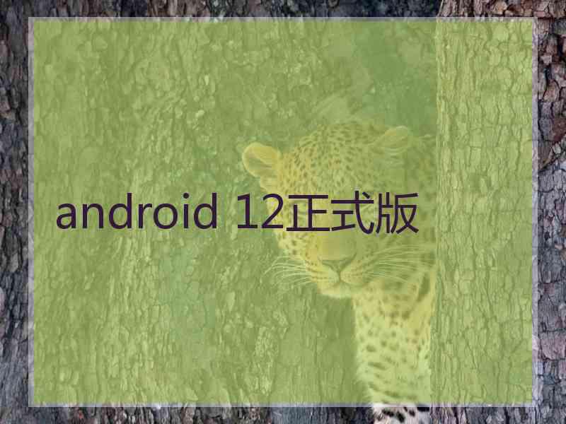 android 12正式版
