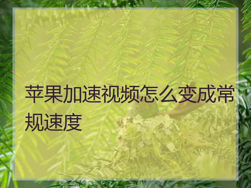 苹果加速视频怎么变成常规速度