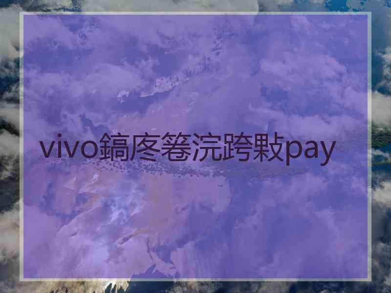 vivo鎬庝箞浣跨敤pay