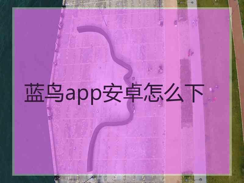 蓝鸟app安卓怎么下