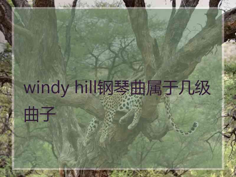 windy hill钢琴曲属于几级曲子