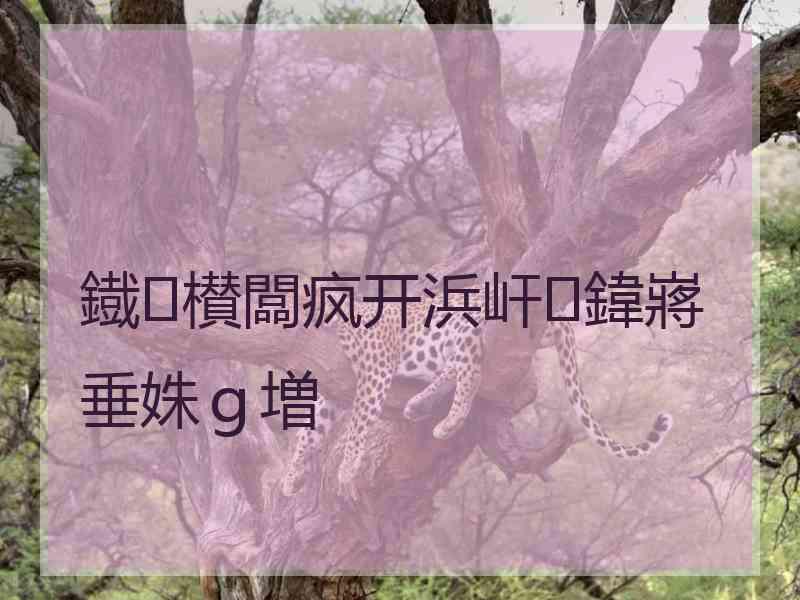 鐡㈣櫕闆疯开浜屽鍏嶈垂姝ｇ増