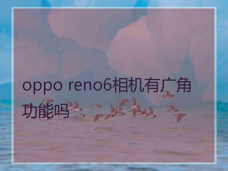 oppo reno6相机有广角功能吗