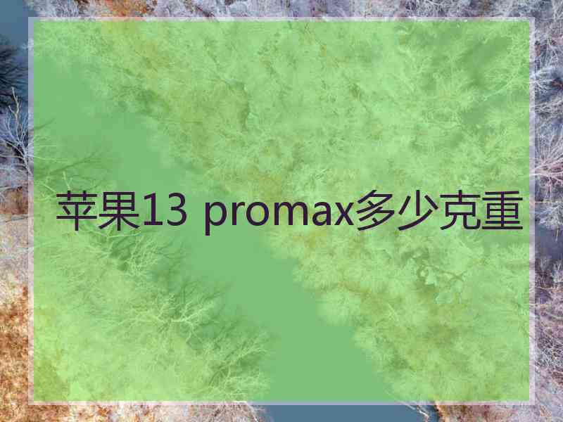 苹果13 promax多少克重