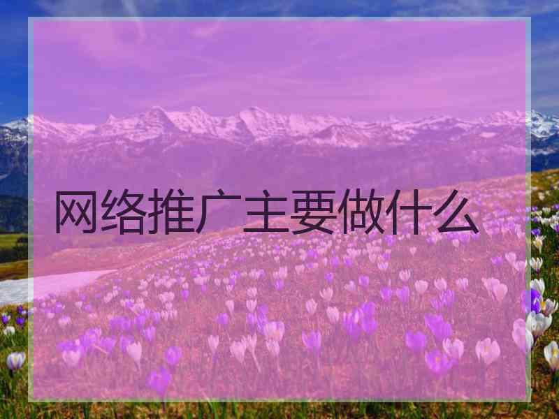 网络推广主要做什么