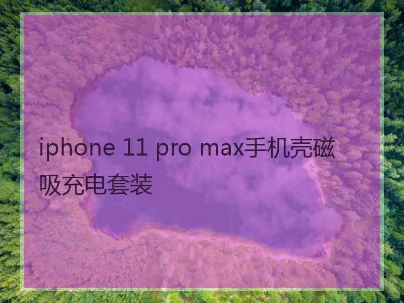 iphone 11 pro max手机壳磁吸充电套装