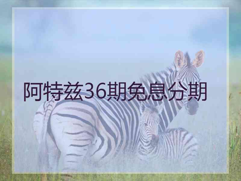 阿特兹36期免息分期